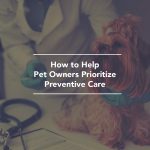 pet preventive care