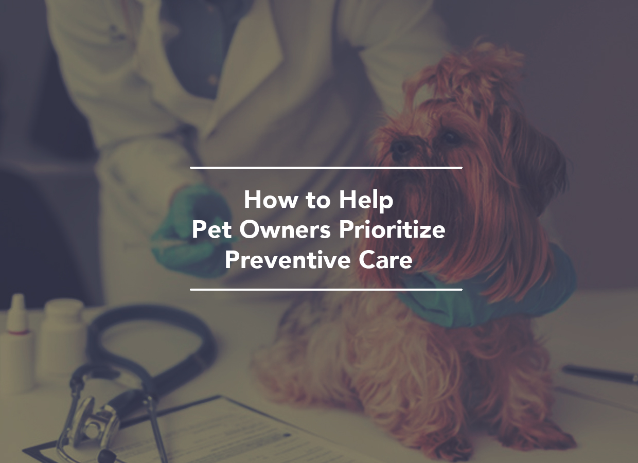 pet preventive care