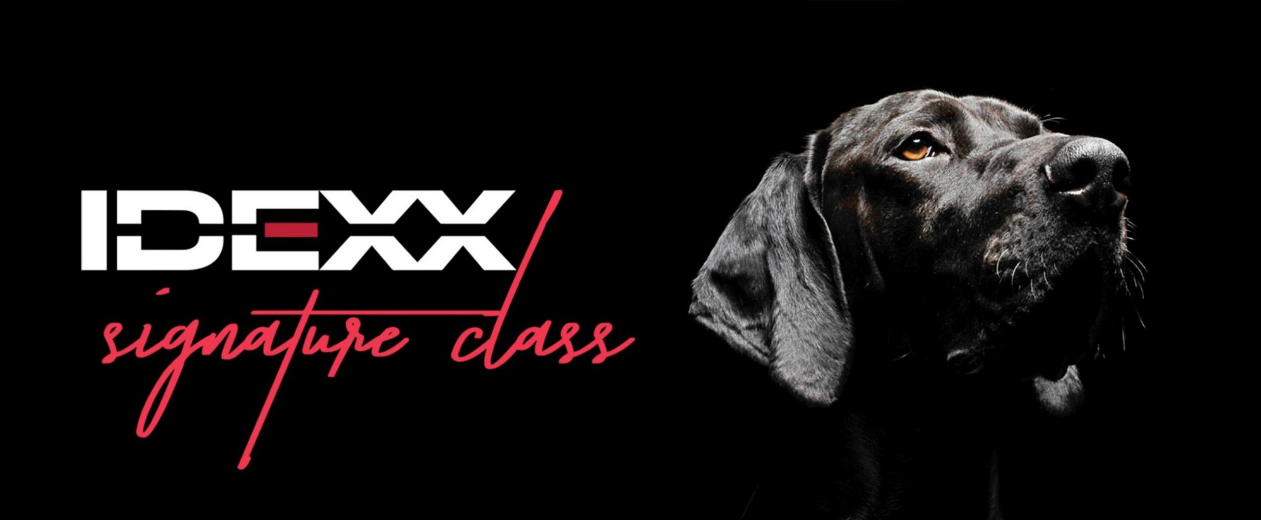 IDEXX Signature Class Dinner