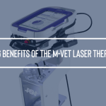 6 Amazing Benefits of the M-VET Laser Therapy Device