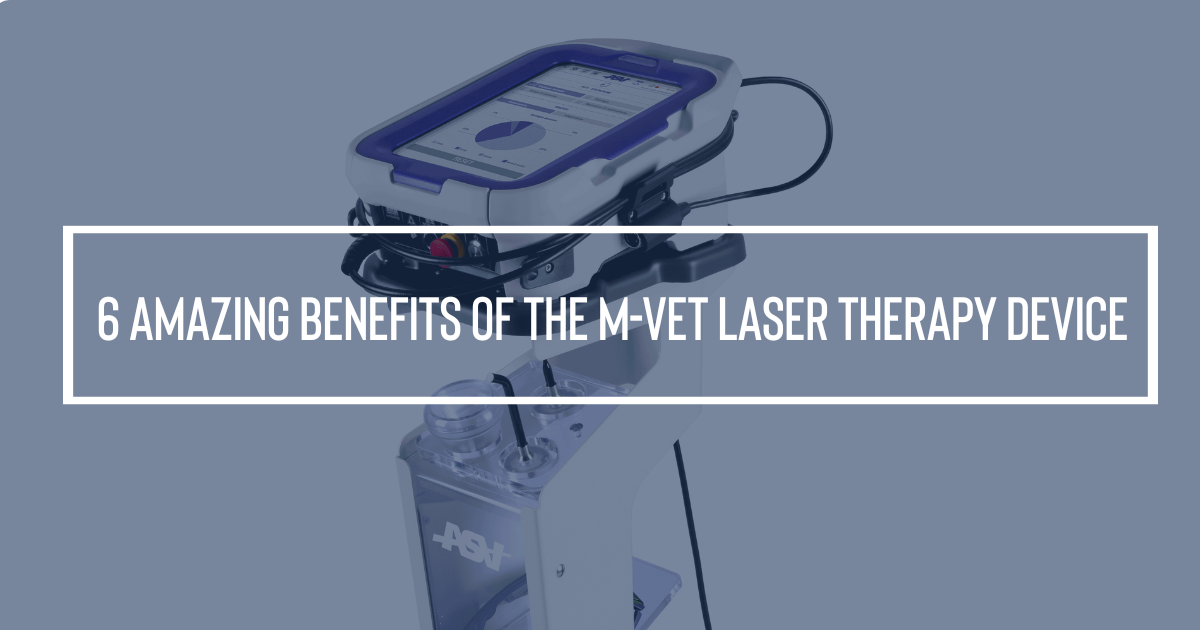 6 Amazing Benefits of the M-VET Laser Therapy Device