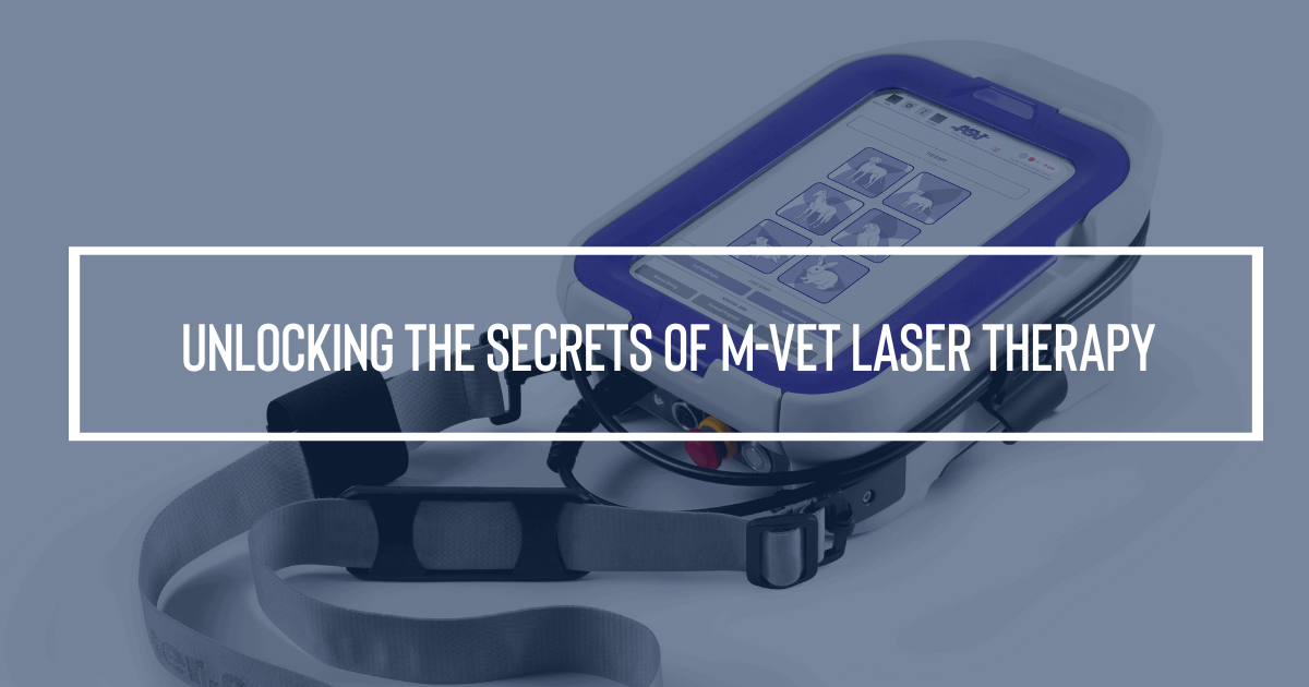 Unlocking the secrets of the M-VET