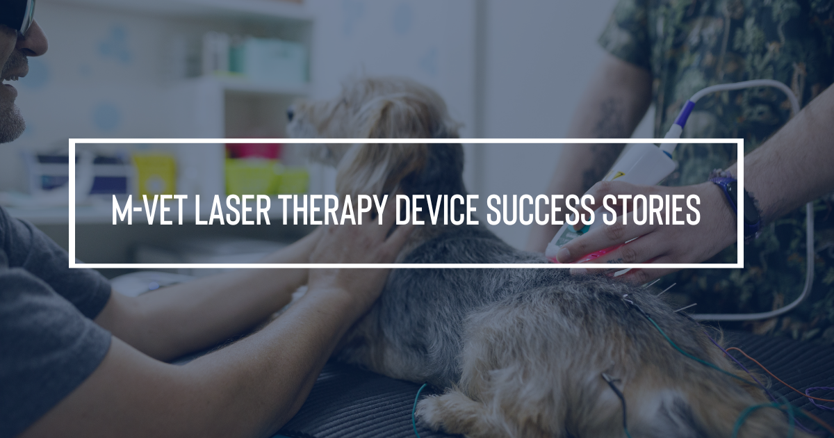 2 M-VET Laser Therapy Device Success Stories